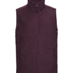 Variation picture for Burgundy