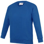 Variation picture for Academy Royal Blue
