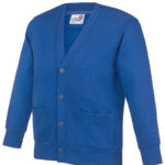 Variation picture for Academy Royal Blue