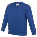 Variation picture for Academy Deep Royal