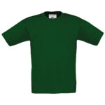 Variation picture for Bottle Green