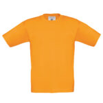 Variation picture for Orange