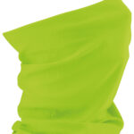 Variation picture for Lime Green