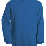 Variation picture for Royal Blue*