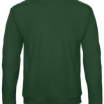 Variation picture for Bottle Green