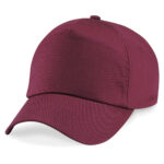 Variation picture for Burgundy