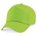 Variation picture for Lime Green