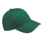 Variation picture for Bottle Green
