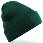 Variation picture for Bottle Green