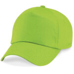 Variation picture for Lime Green