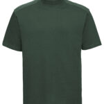 Variation picture for Bottle Green