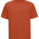 Variation picture for Orange
