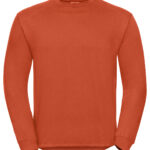 Variation picture for Orange