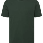 Variation picture for Bottle Green