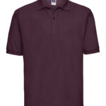 Variation picture for Burgundy