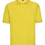 Variation picture for Yellow