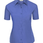 Variation picture for Corporate Blue