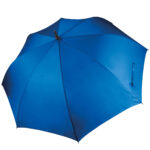 Variation picture for Royal Blue