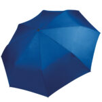 Variation picture for Royal Blue