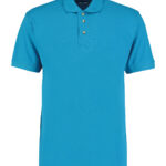 Variation picture for Turquoise