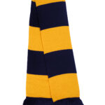 Variation picture for Navy/Gold