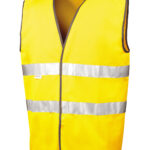 Variation picture for Fluorescent Yellow