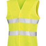 Variation picture for Fluorescent Yellow