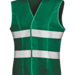 Variation picture for Paramedic Green