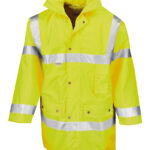 Variation picture for Fluorescent Yellow