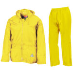 Variation picture for Neon Yellow