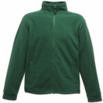 Variation picture for Bottle Green
