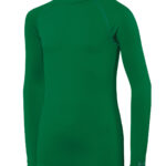 Variation picture for Bottle Green
