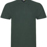Variation picture for Bottle Green