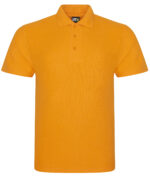 Pro polo - Image 11
