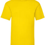 Variation picture for Yellow