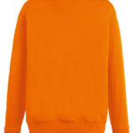 Variation picture for Orange