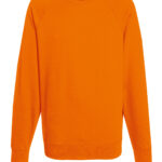Variation picture for Orange