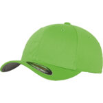 Variation picture for Fresh Green