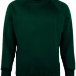 Variation picture for Bottle Green