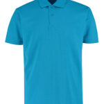 Variation picture for Turquoise