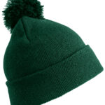 Variation picture for Bottle Green