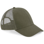 Variation picture for Olive Green