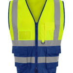Variation picture for HV Yellow/Royal Blue