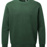 Variation picture for Forest Green