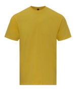 Softstyle midweight adult t-shirt - Image 4