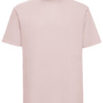 Variation picture for Powder Rose