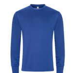 Variation picture for Royal Blue