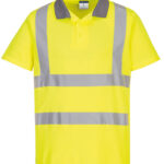 Variation picture for Yellow
