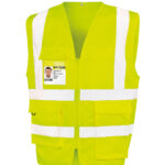 Variation picture for Fluorescent Yellow