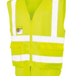 Variation picture for Fluorescent Yellow